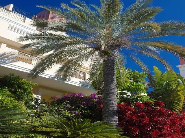 Apartamentos Granada Park Πλάγια ντε λας Αμέρικας Εξωτερικό φωτογραφία
